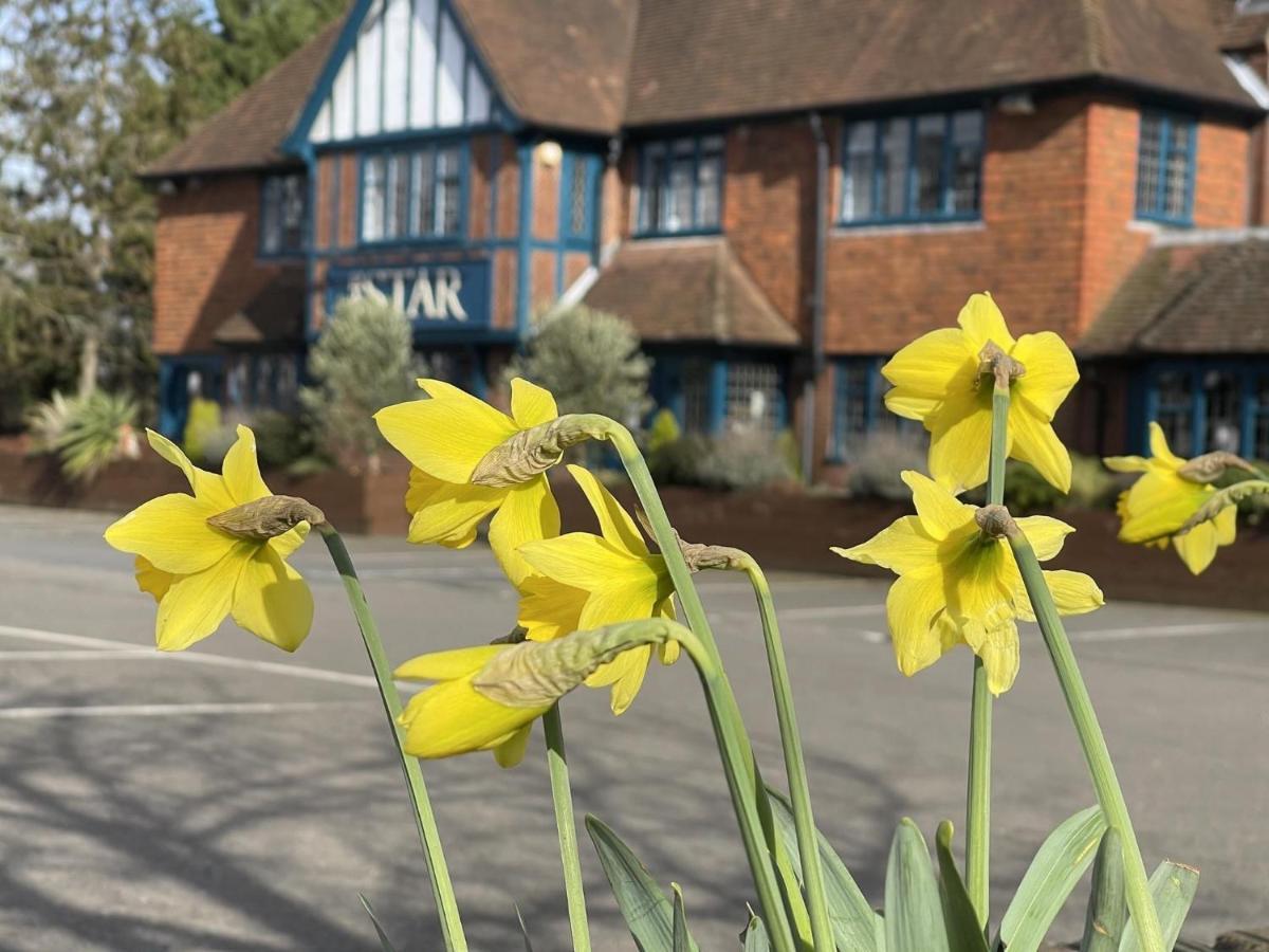 The Star Inn Lingfield Bagian luar foto