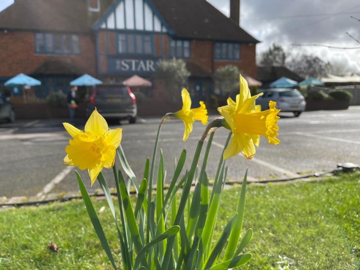 The Star Inn Lingfield Bagian luar foto
