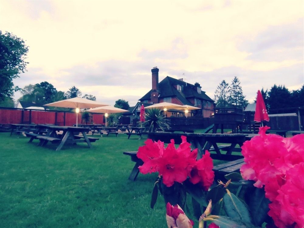 The Star Inn Lingfield Bagian luar foto